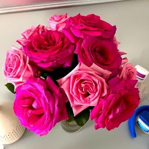 Meet your Posher, Lindsay